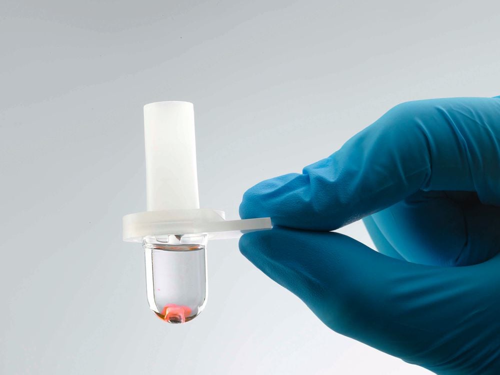 Quo-Test® HbA1c zum EKF Point of Care Analyzer